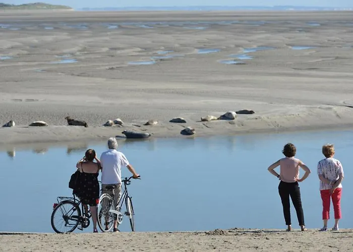 Hamac - Vue - 100m Berck